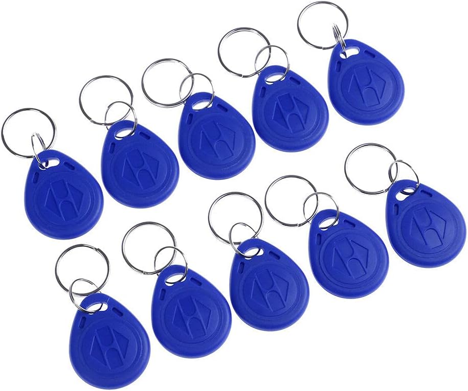 RFID KEYCHAIN TAGS 125 KHZ (Set of 10)