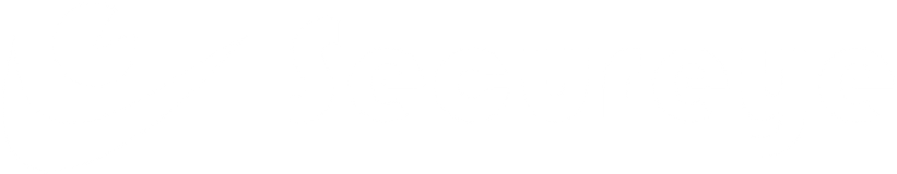 Secureye